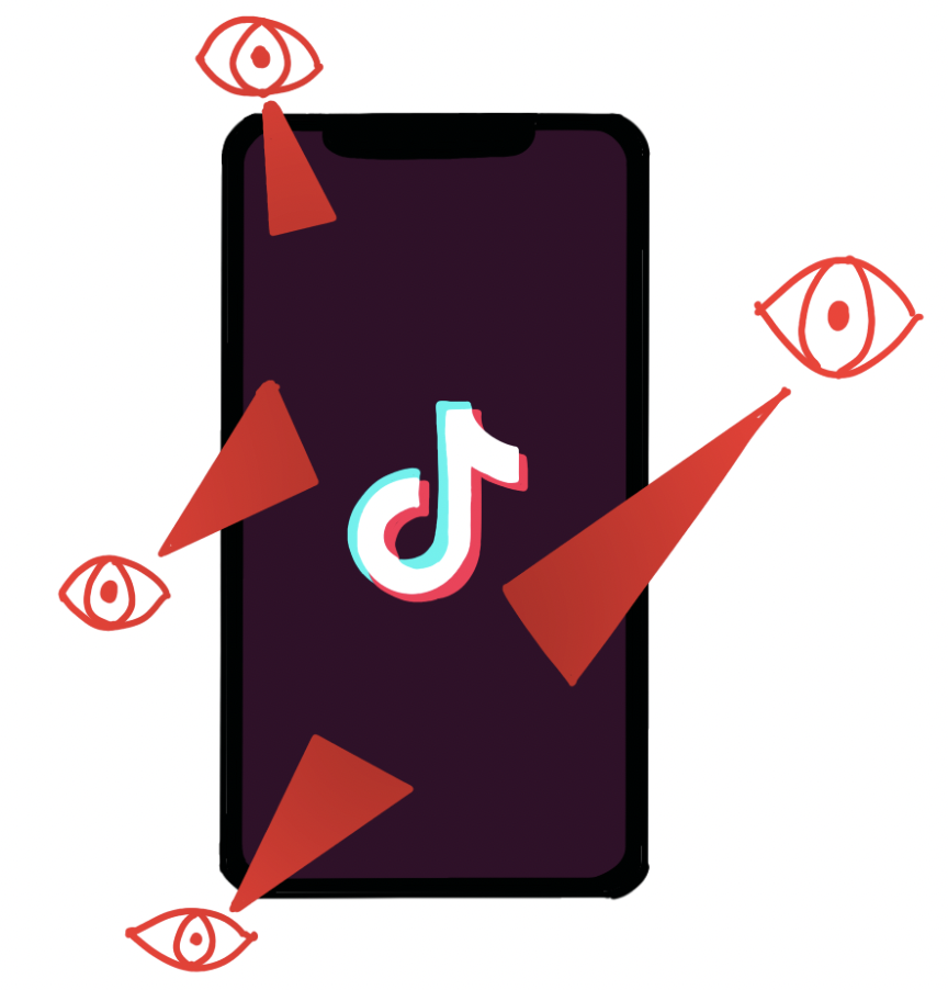 TikTok has access to virtually all of the data on your phone by using devices such as keyloggers. 